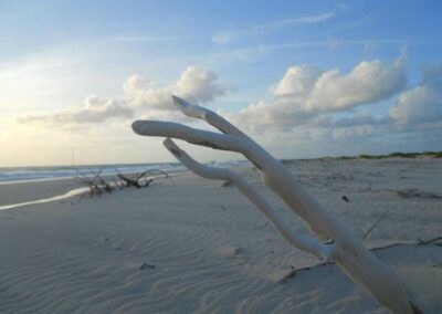 Dario Item Gallery Barbuda 11 Mile Beach (2)