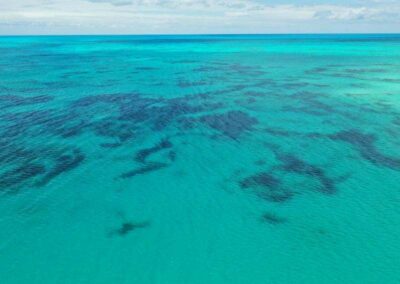 Dario Item Gallery Barbuda 11 Mile Beach (4)