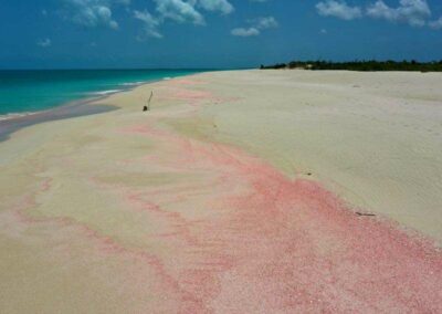 Dario Item Gallery Barbuda Pink Sand Beach (1)