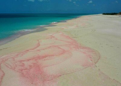 Dario Item Gallery Barbuda Pink Sand Beach (12)