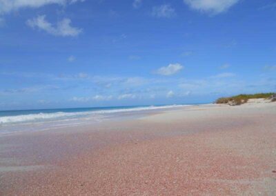 Dario Item Gallery Barbuda Pink Sand Beach (5)