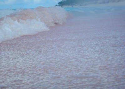 Dario Item Gallery Barbuda Pink Sand Beach (6)