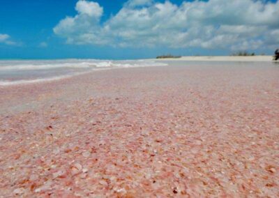 Dario Item Gallery Barbuda Pink Sand Beach (7)