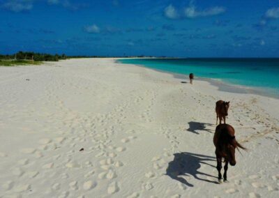 Dario Item Gallery Barbuda Princess Diana Beach (2)