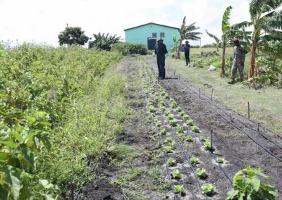 Dario Item News Antigua and Barbuda Defence Force contributing to National Food Security (3)